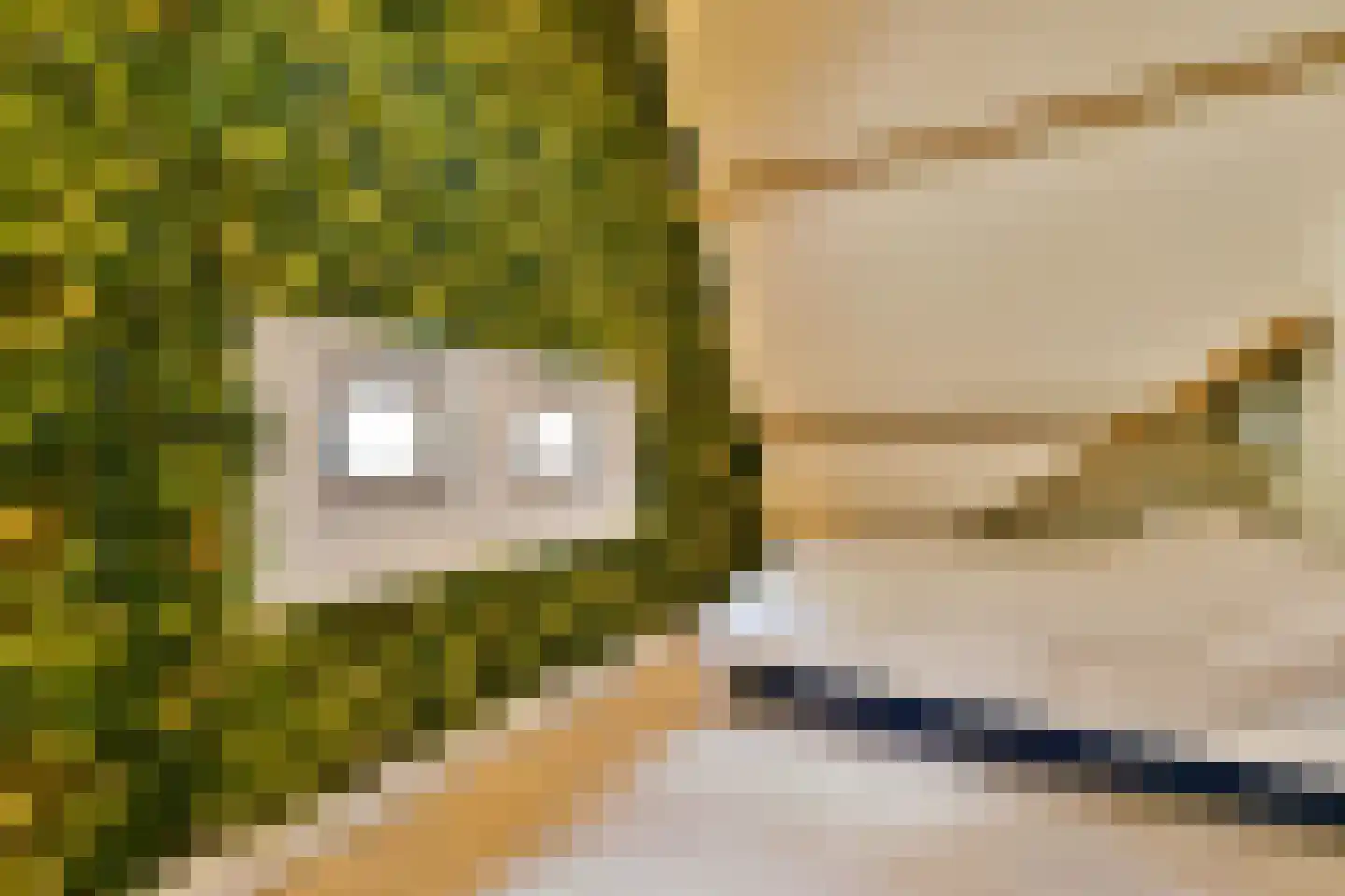 Adelaarsweg 76 Amsterdam thumbnail 33