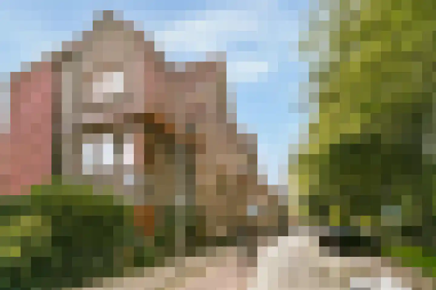 Adelaarsweg 76 Amsterdam thumbnail 35