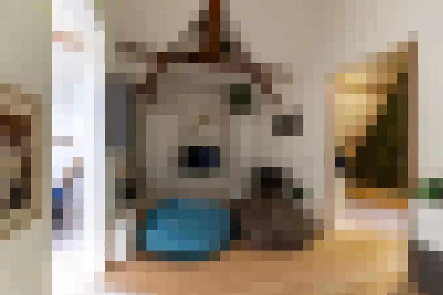 Adelaarsweg 76 Amsterdam thumbnail 43