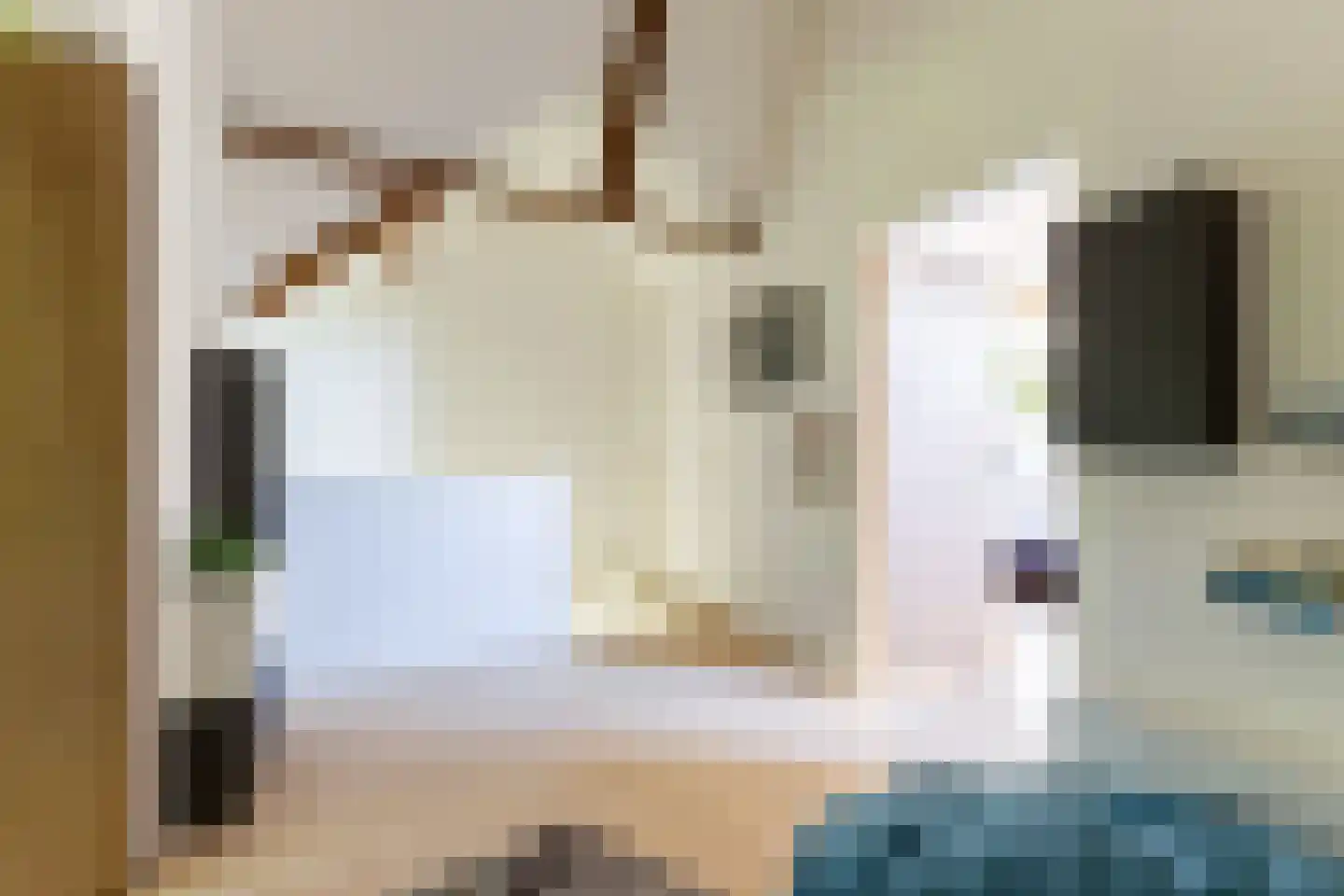 Adelaarsweg 76 Amsterdam thumbnail 45