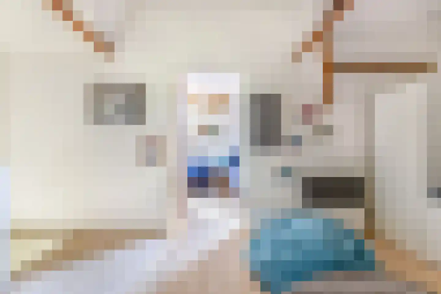 Adelaarsweg 76 Amsterdam thumbnail 45