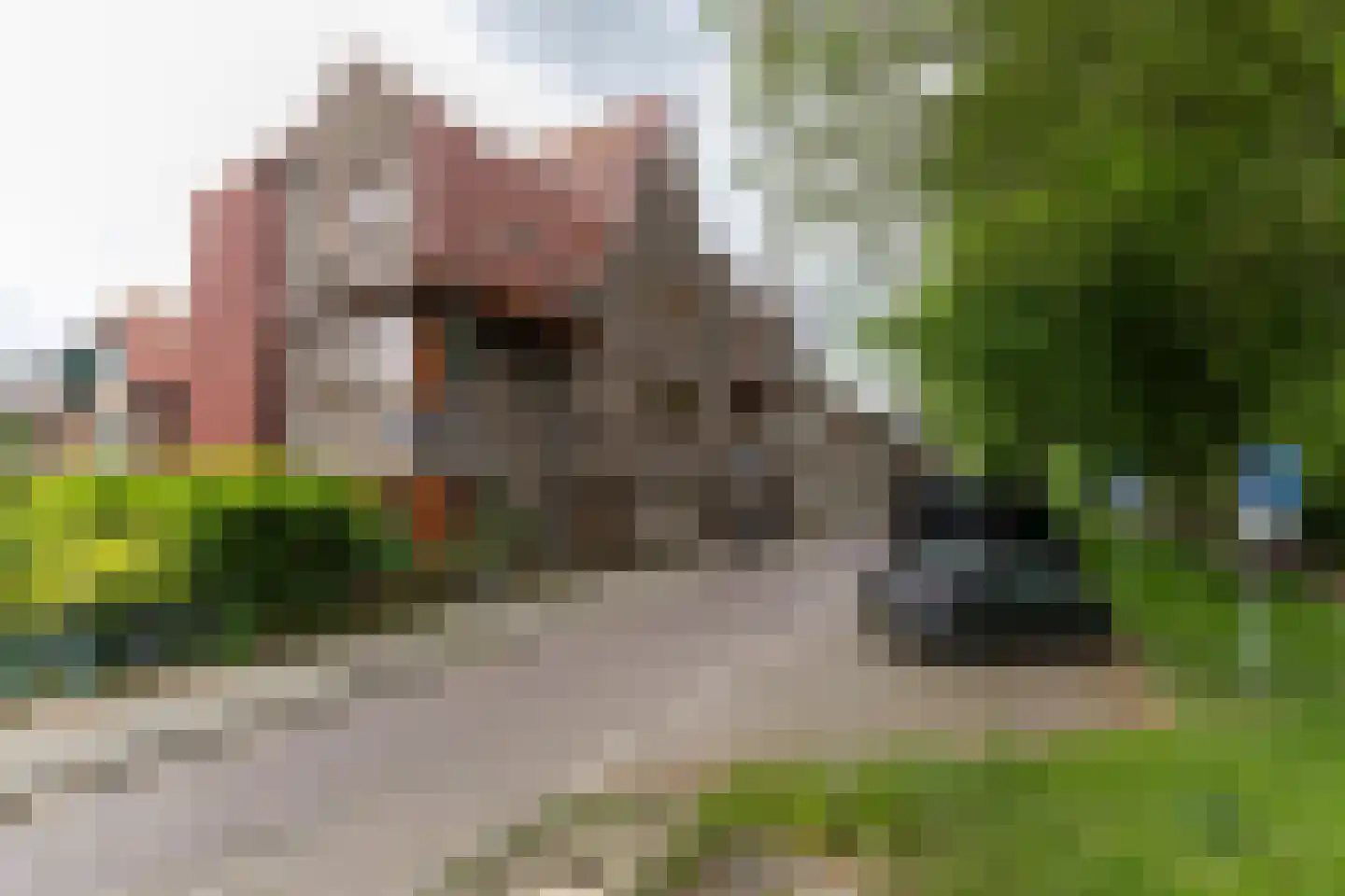 Adelaarsweg 76 Amsterdam thumbnail 5