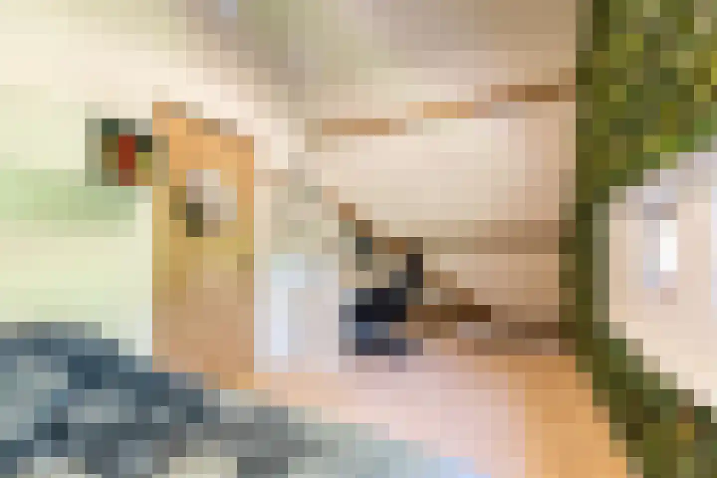 Adelaarsweg 76 Amsterdam thumbnail 50