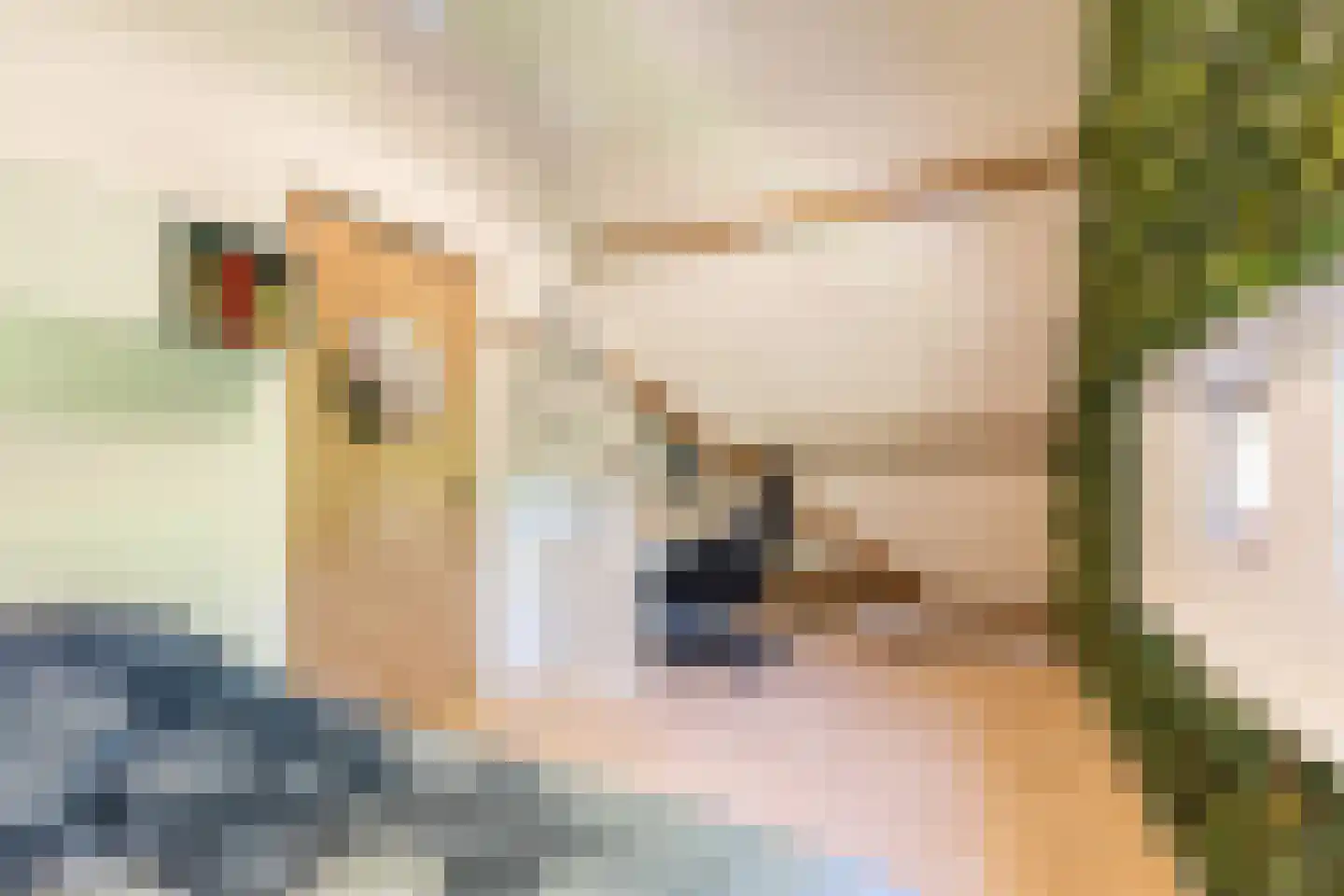 Adelaarsweg 76 Amsterdam thumbnail 51