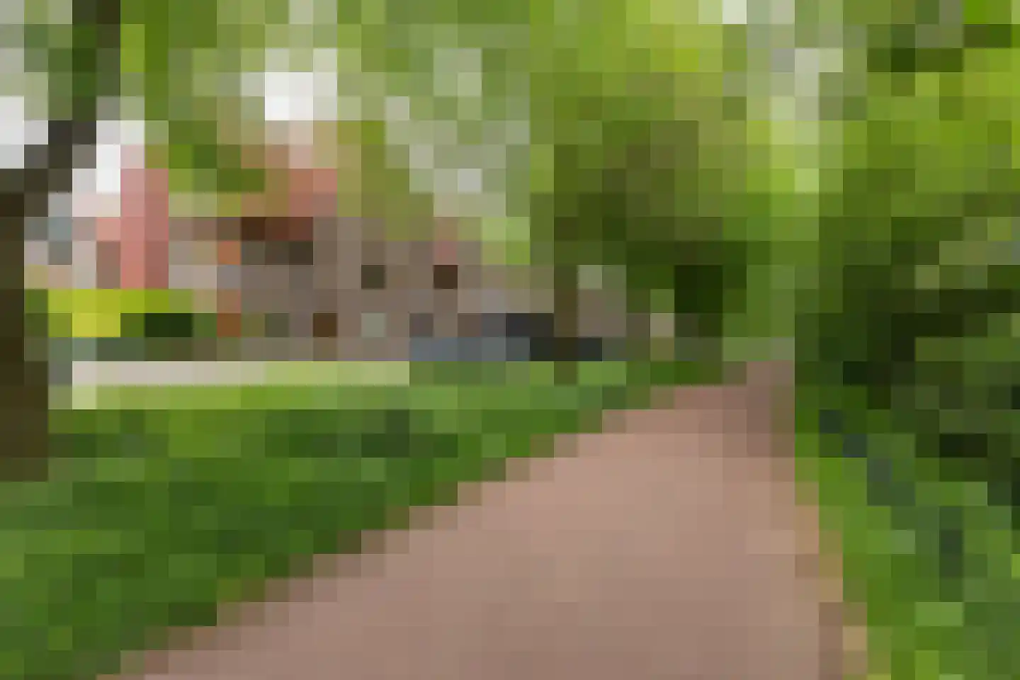 Adelaarsweg 76 Amsterdam thumbnail 52