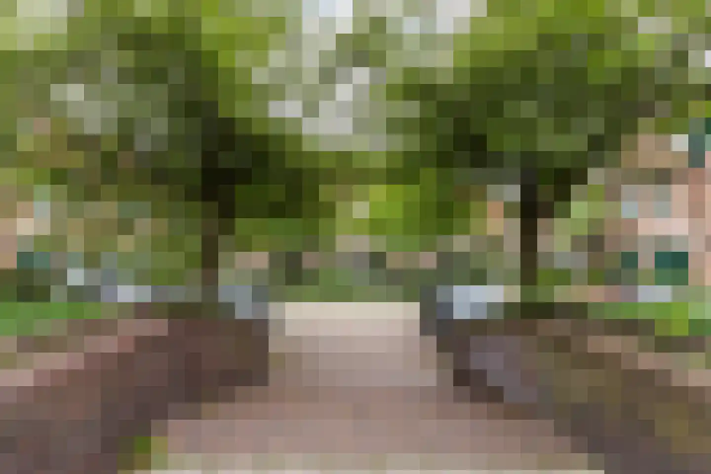 Adelaarsweg 76 Amsterdam thumbnail 53