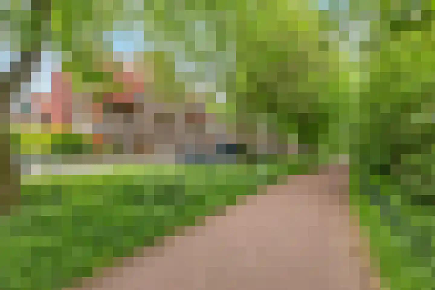 Adelaarsweg 76 Amsterdam thumbnail 53