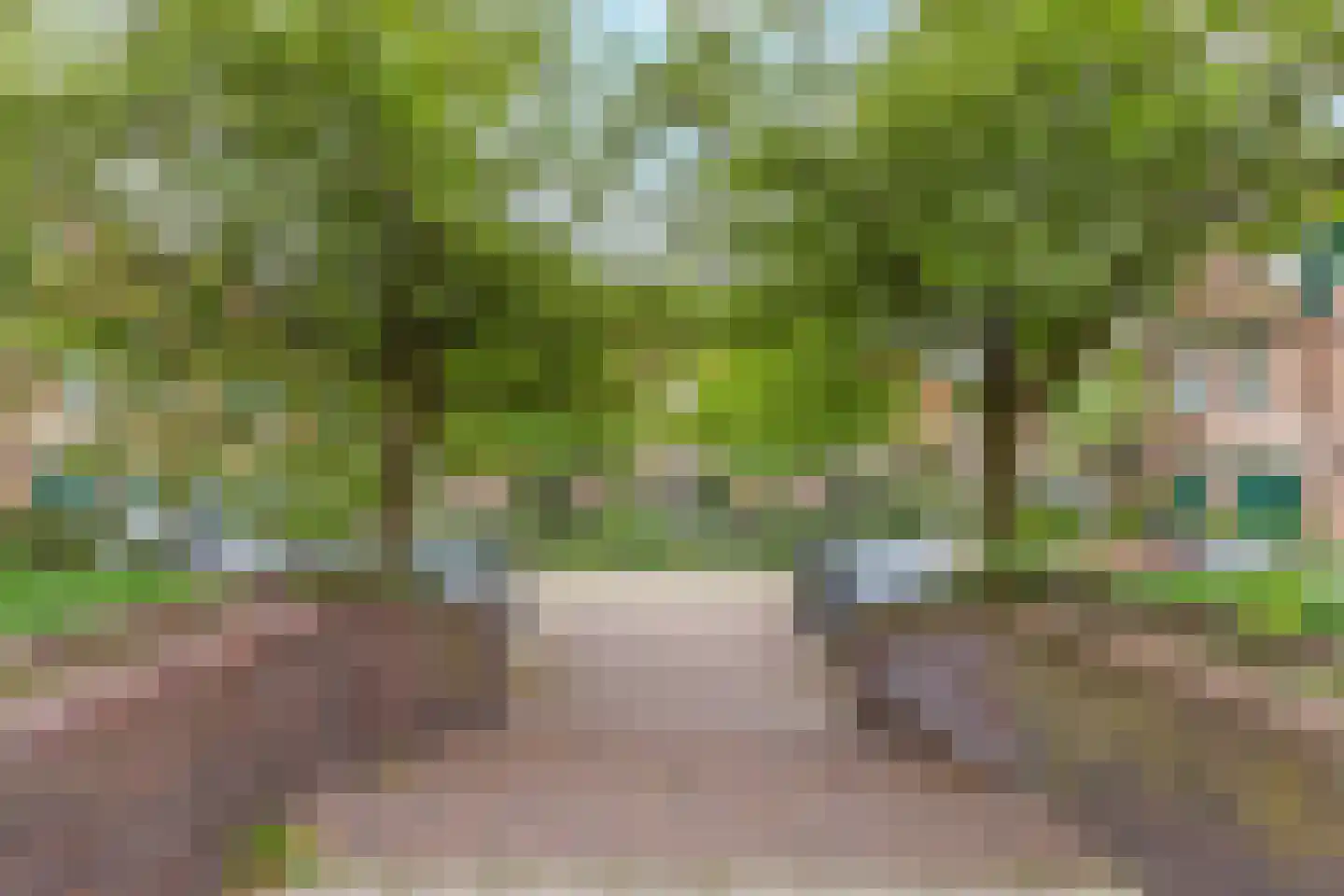 Adelaarsweg 76 Amsterdam thumbnail 54