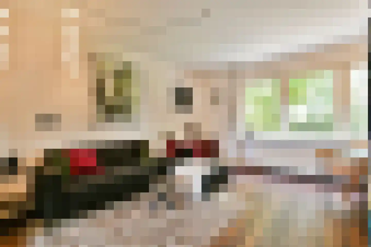 Adelaarsweg 76 Amsterdam thumbnail 6