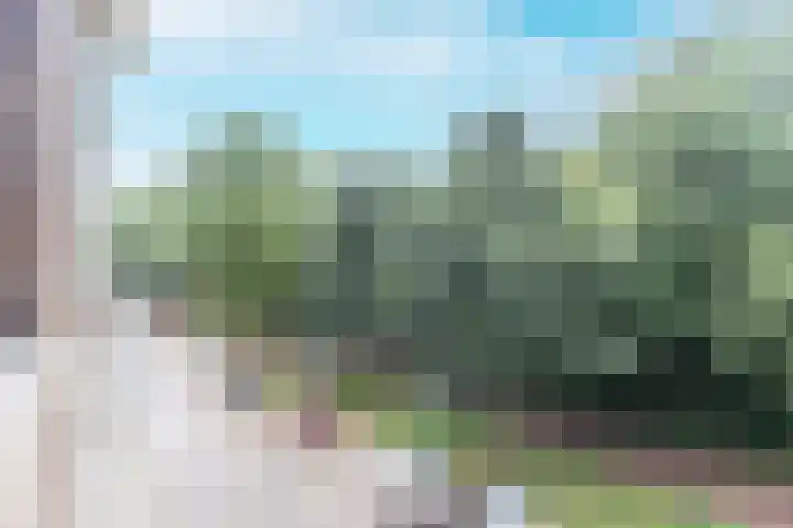 Adelaarsweg 80 1 Amsterdam thumbnail 10