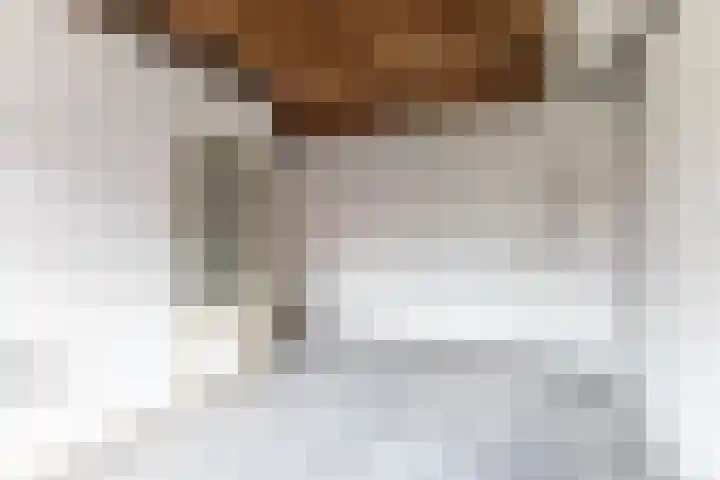 Adelaarsweg 80 1 Amsterdam thumbnail 5