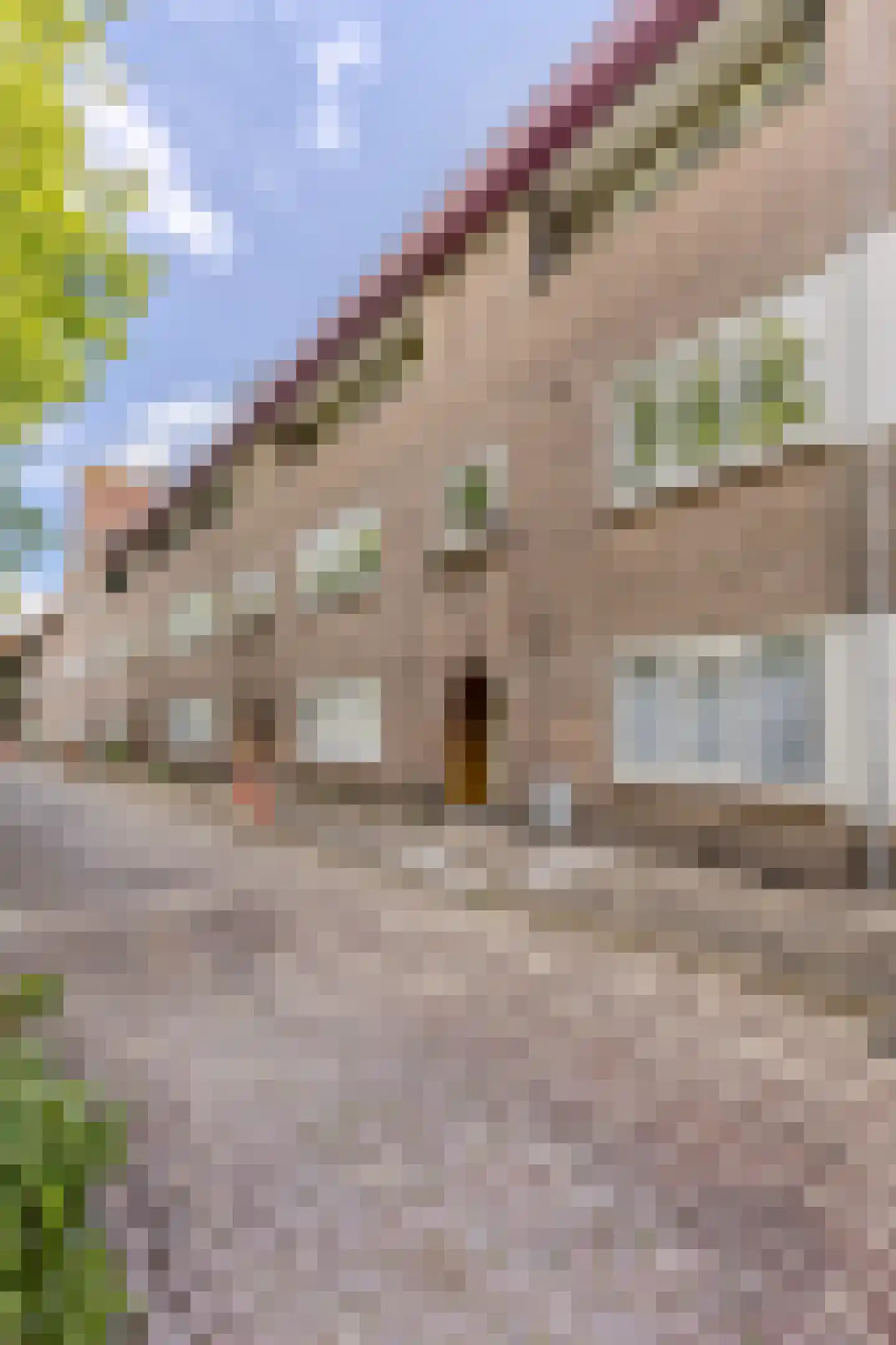 Adelaarsweg 84 H Amsterdam thumbnail 17