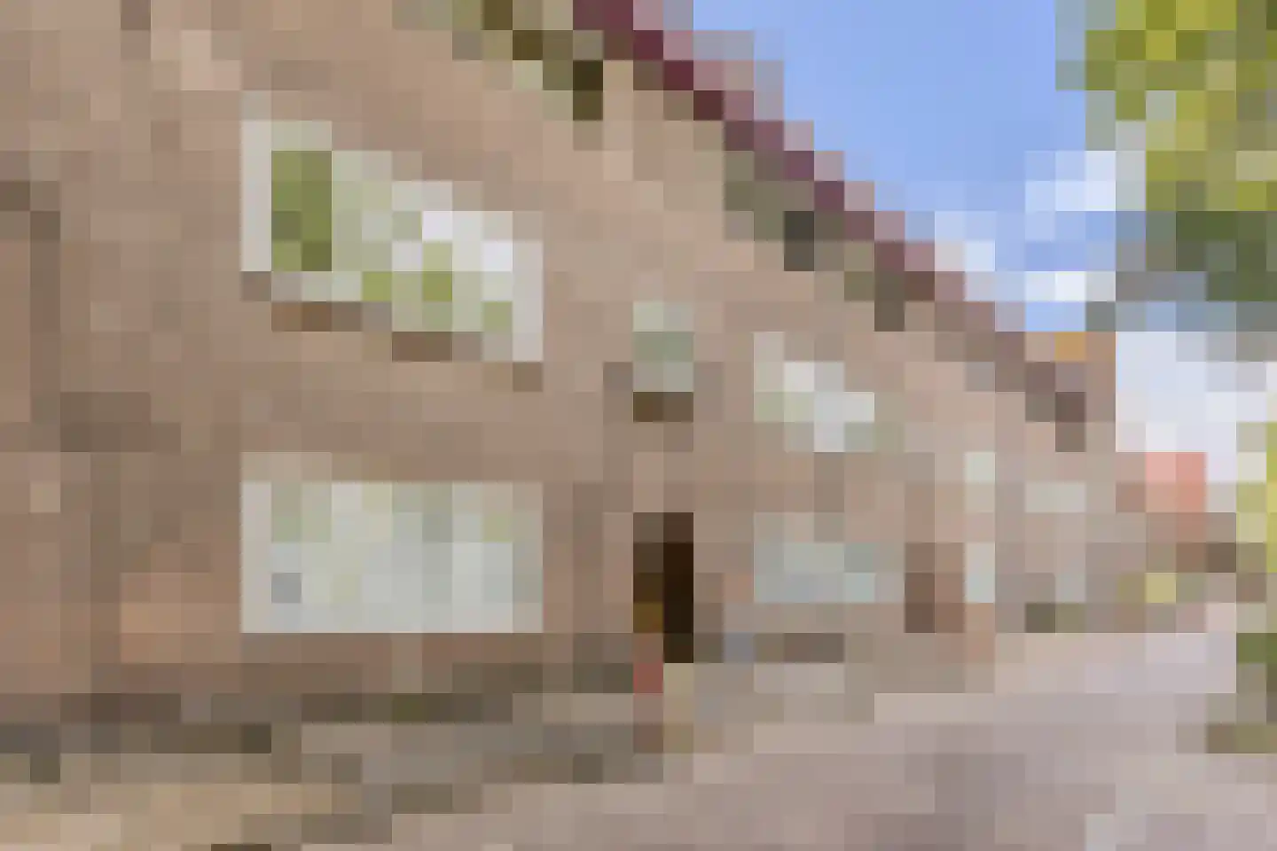 Adelaarsweg 84 H Amsterdam thumbnail 5