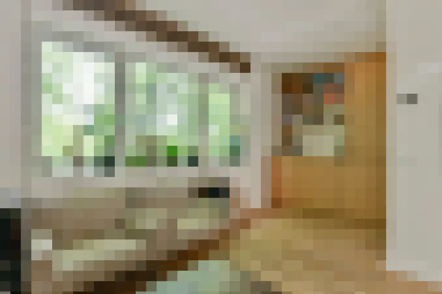Adelaarsweg 97 Amsterdam thumbnail 14