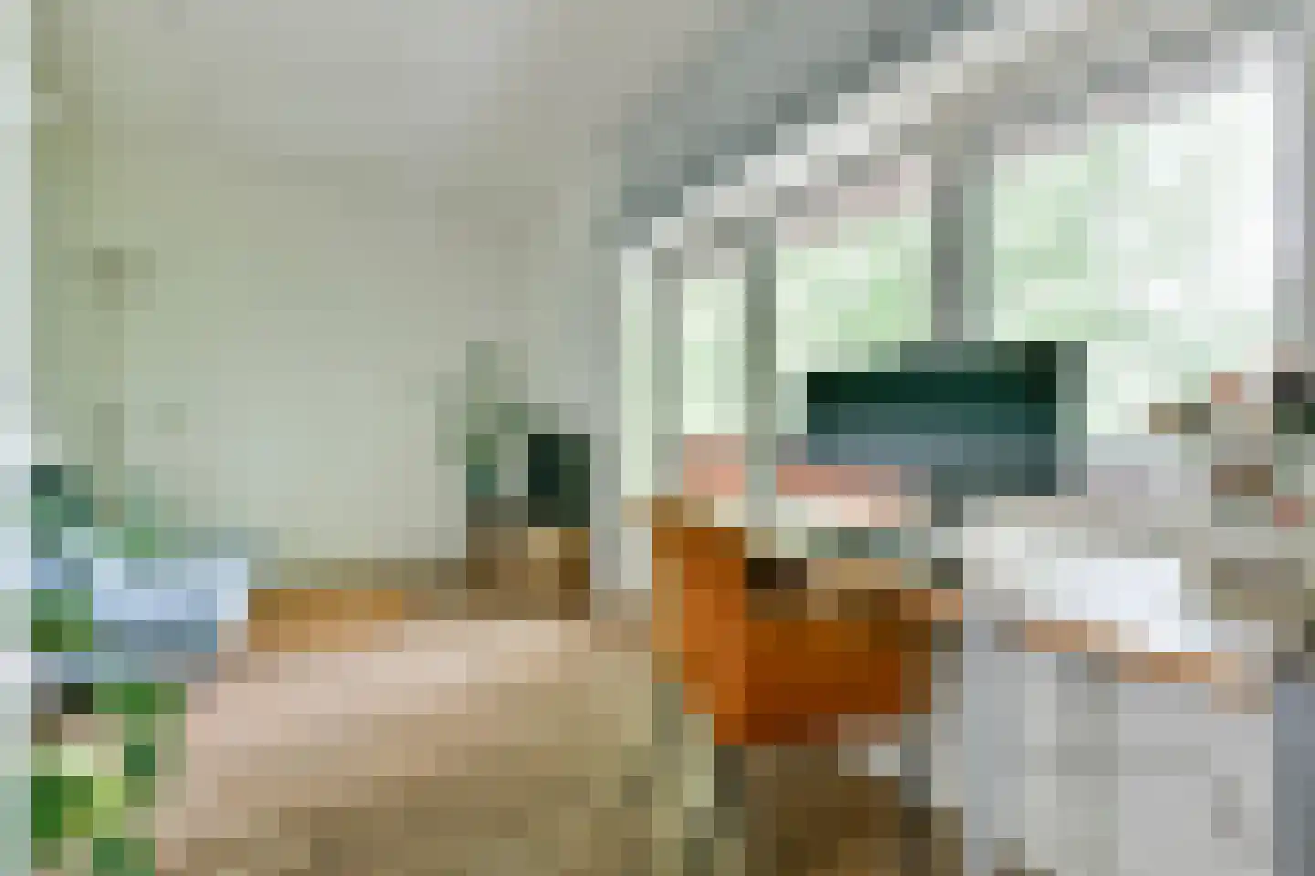 Adelaarsweg 97 Amsterdam thumbnail 21