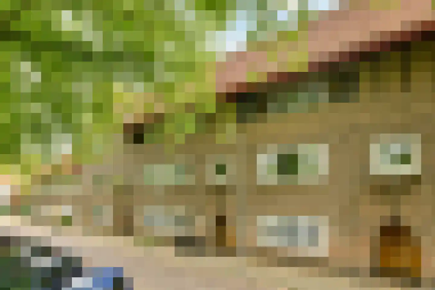Adelaarsweg 97 Amsterdam thumbnail 33
