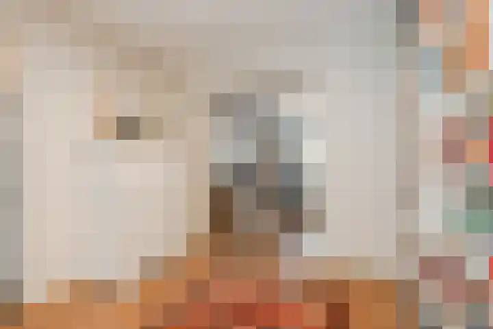 Adelaarsweg 98 1 Amsterdam thumbnail 12
