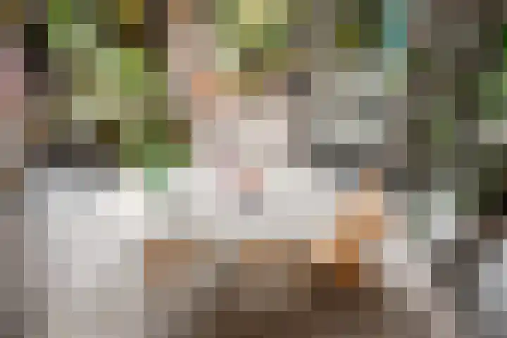 Adelaarsweg 98 1 Amsterdam thumbnail 15
