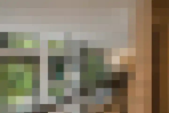 Adelaarsweg 98 1 Amsterdam thumbnail 16