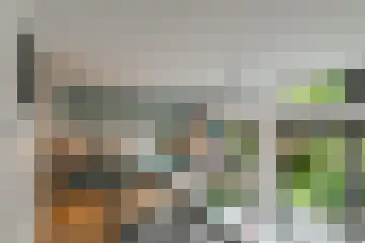 Adelaarsweg 98 1 Amsterdam thumbnail 17