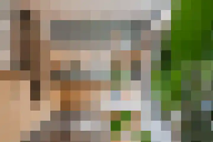 Adelaarsweg 98 1 Amsterdam thumbnail 18