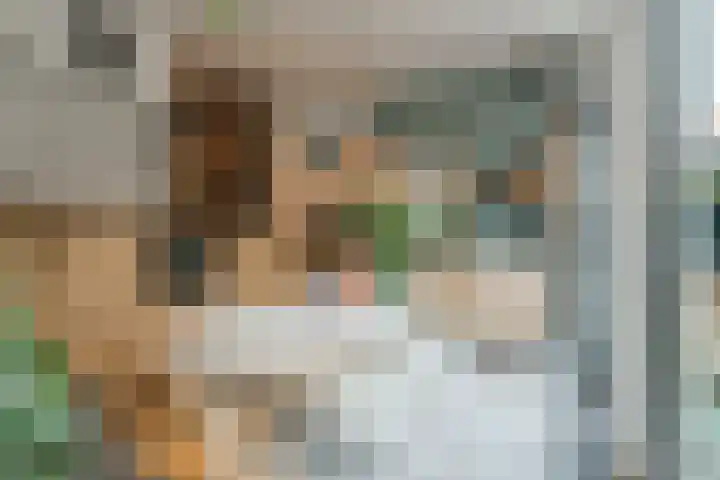 Adelaarsweg 98 1 Amsterdam thumbnail 19