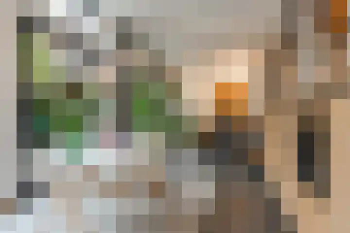 Adelaarsweg 98 1 Amsterdam thumbnail 20