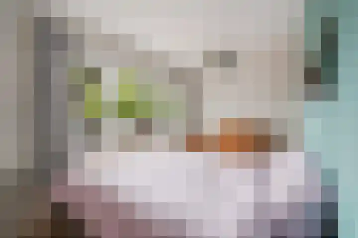 Adelaarsweg 98 1 Amsterdam thumbnail 37