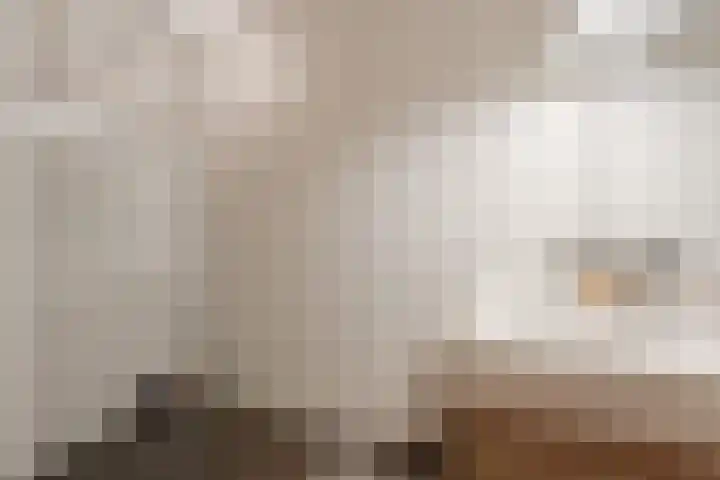 Adelaarsweg 98 1 Amsterdam thumbnail 41