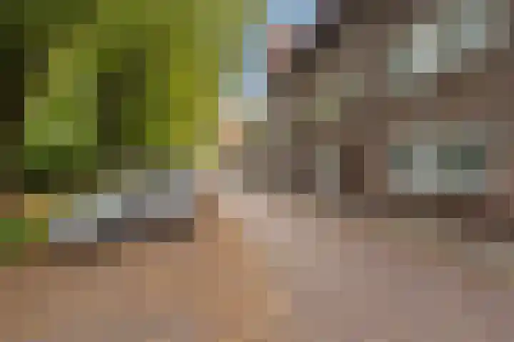 Adelaarsweg 98 1 Amsterdam thumbnail 48