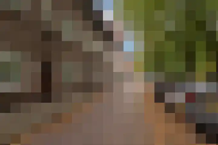 Adelaarsweg 98 1 Amsterdam thumbnail 49