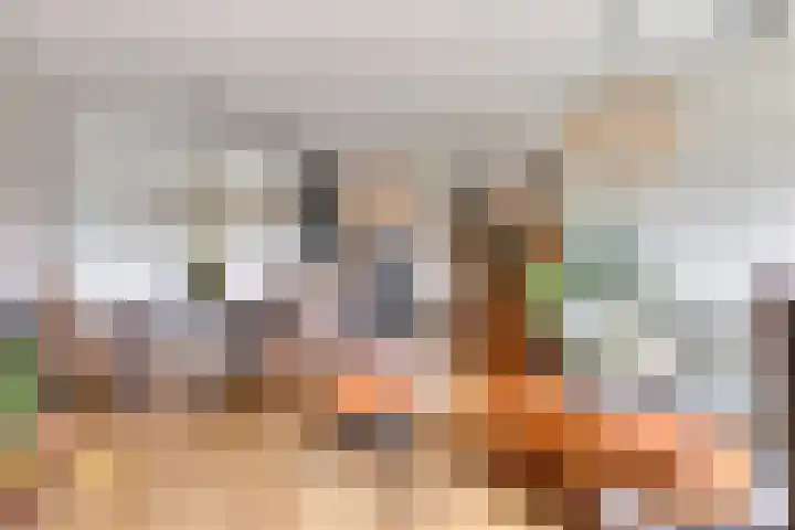 Adelaartlaan 108 Geldrop thumbnail 16