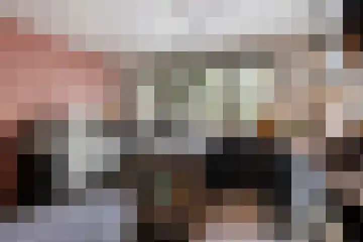 Adelaartlaan 108 Geldrop thumbnail 21
