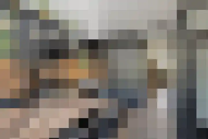 Adelaartlaan 108 Geldrop thumbnail 22