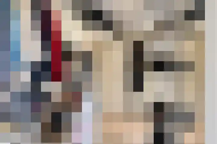 Adelaartlaan 108 Geldrop thumbnail 25