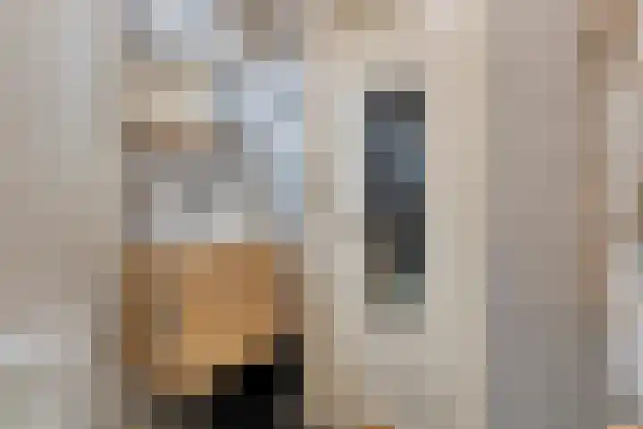 Adelaartlaan 108 Geldrop thumbnail 29