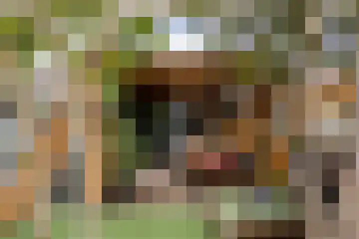Adelaartlaan 108 Geldrop thumbnail 34