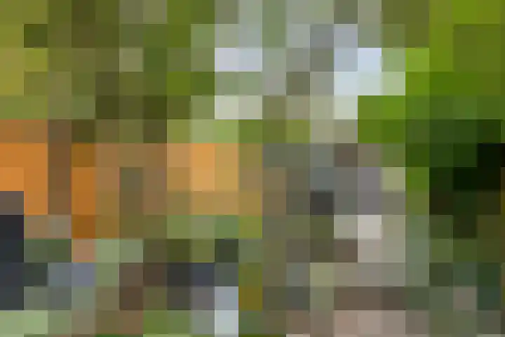 Adelaartlaan 108 Geldrop thumbnail 36