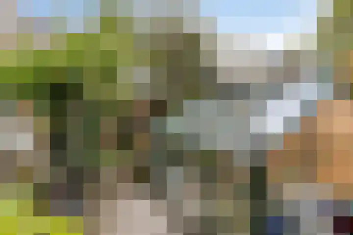 Adelaartlaan 108 Geldrop thumbnail 37