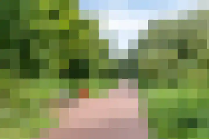 Adelaartlaan 108 Geldrop thumbnail 38