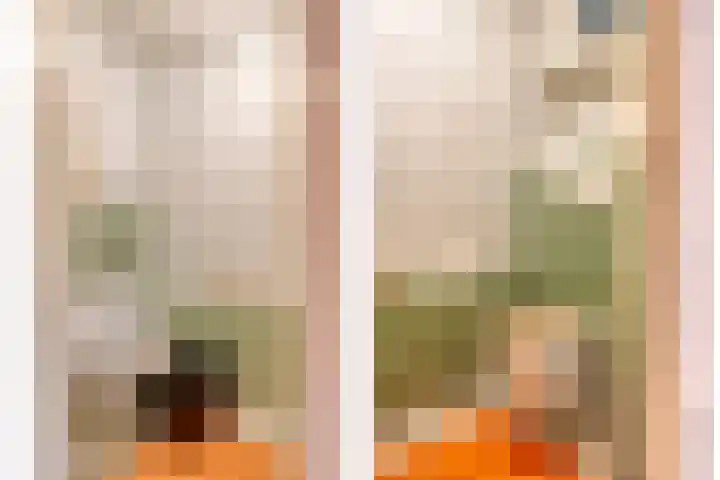 Adelaartlaan 108 Geldrop thumbnail 41