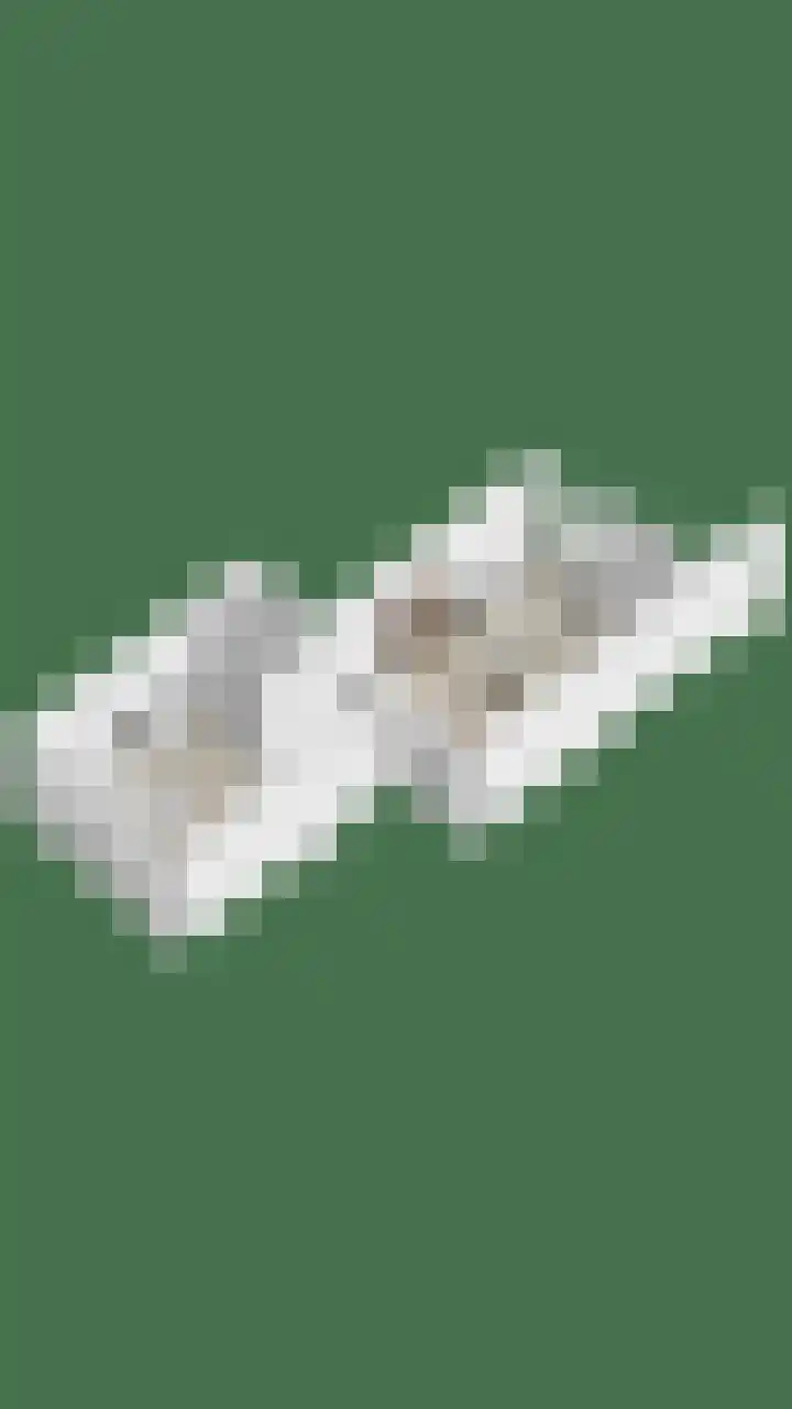 Adelaartlaan 108 Geldrop thumbnail 44