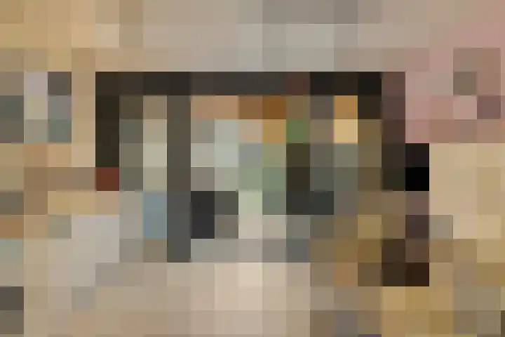 Adelaartlaan 108 Geldrop thumbnail 7