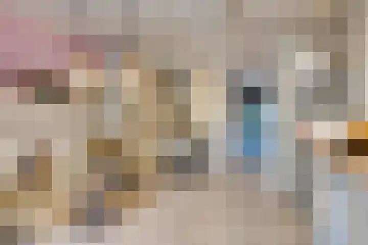 Adelaartlaan 108 Geldrop thumbnail 8