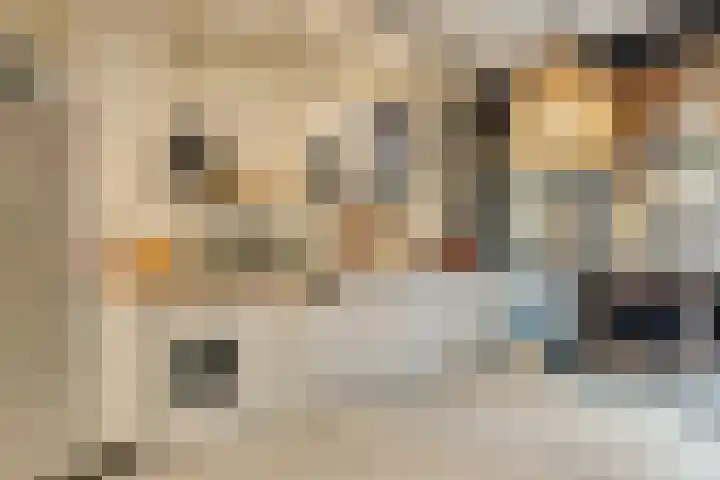 Adelaartlaan 108 Geldrop thumbnail 9