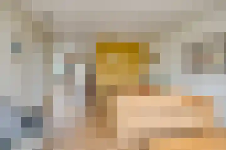 Adelaartlaan 156 Geldrop thumbnail 11