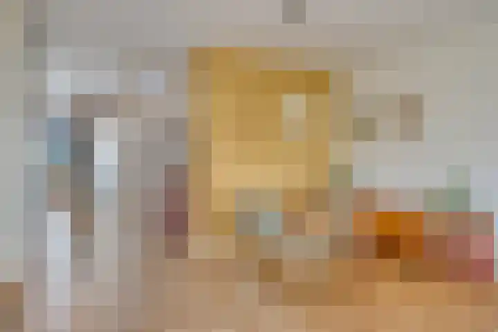 Adelaartlaan 156 Geldrop thumbnail 12