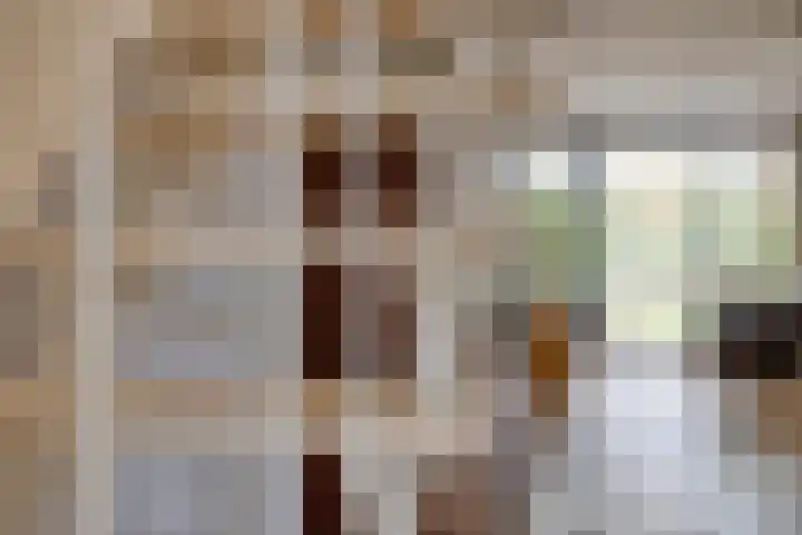 Adelaartlaan 156 Geldrop thumbnail 17
