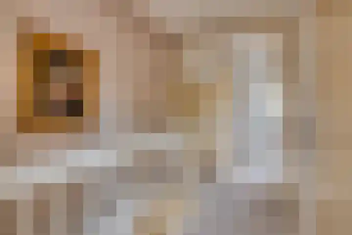 Adelaartlaan 156 Geldrop thumbnail 18