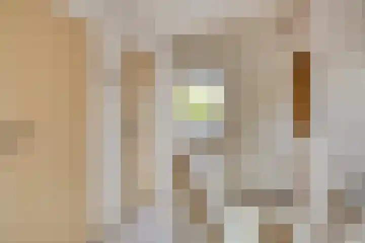 Adelaartlaan 156 Geldrop thumbnail 19